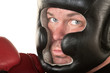 Serious Boxer Close Up