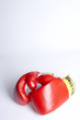 Red boxing gloves against white background
