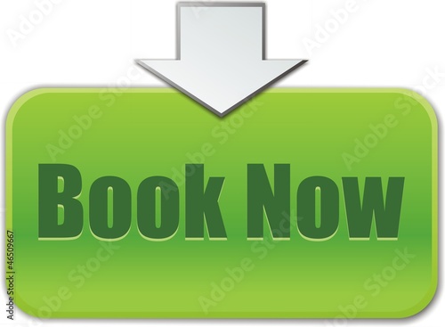 Vector: bouton book now bouton book now