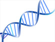 DNA