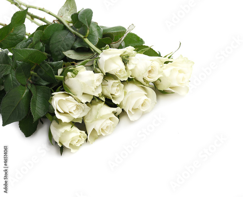 Photo: bunch of white roses bunch of white roses