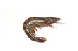 crevettes