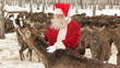 Video: Hungry deer Hungry deer