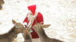 Video: Deer love Santa Deer love Santa
