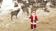 Video: Santa’s pets Santa’s pets