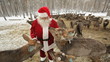 Video: Hungry herd Hungry herd