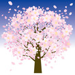 夜桜