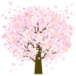 桜の樹