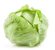 Green cabbage isolated on white