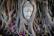 Head of Sandstone Buddha in The Tree Roots at Wat Mahathat Head of Sandstone Buddha in The Tree Roots at Wat Mahathat