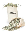 Bag with liability insurance