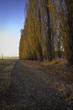 Countryside autumn view color image