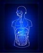 Abstract gastrointestinal system