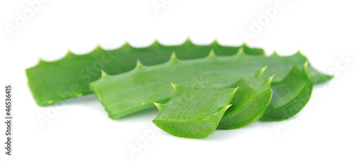 Photo: Aloe vera closeup Aloe vera closeup