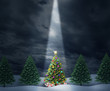 Illuminated Tree