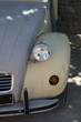 Vintage French Car