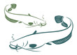 Catfish - vector illustration