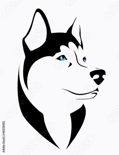 Vector: Husky dog - vector illustration Husky dog - vector illustration