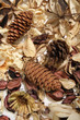 herbst deko