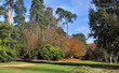 Autumn Colors In Windsor Great...