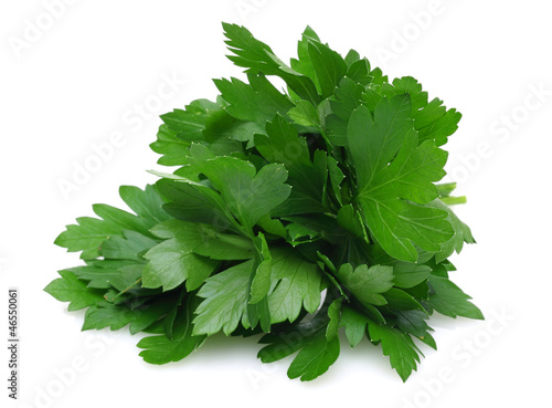 Photo: Herb Series Parsley Herb Series Parsley