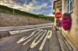 Road among house and vineyards. Piedmont, Italy.