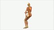 Anatomy