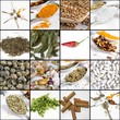 Collage - Spices and herbs on white background