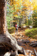 Nordic Walking