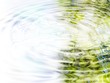 Reflection of forest and sun in water