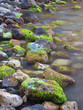 Photo: Sea and coast during sundown. Natural composition Sea and coast during sundown. Natural composition