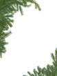 Christmas Border
