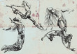 jumping and happy (- drawings into vector collection)
