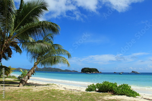Photo: Plage de rêve aux Seychelles Plage de rêve aux Seychelles
