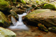 water rocks and musk in the forest