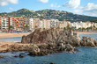 Shore