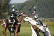 medieval show