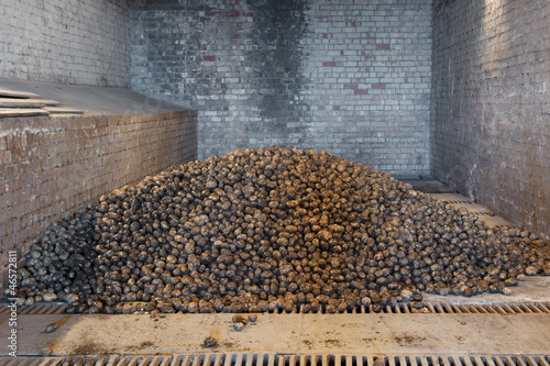 Photo: potatoes in storage house potatoes in storage house