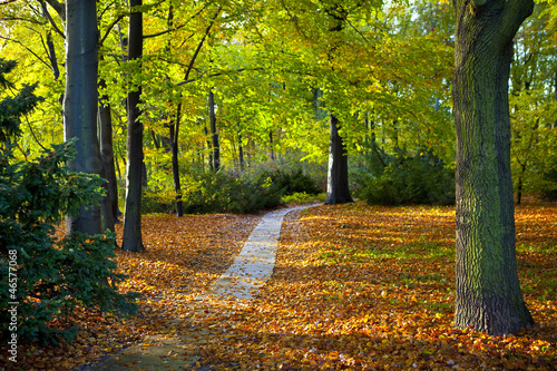 Photo: Tiergarten in Berlin Tiergarten in Berlin