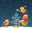 Funny Christmas Robins