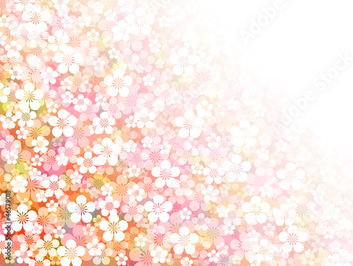 Illustration: 梅の花の背景 梅の花の背景