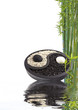 yin yang bambou bien-être