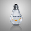 Gold fish inside an electric bulb