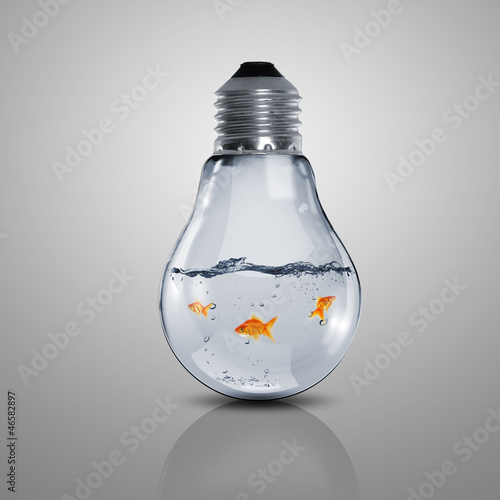 Photo: Gold fish inside an electric bulb Gold fish inside an electric bulb