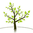 Tree sillhouette