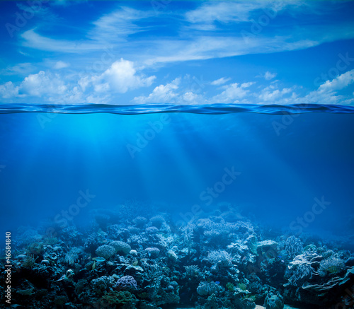 Fototapeta Underwater coral reef seabed view with horizon and water surface