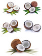 Coconut with leaves