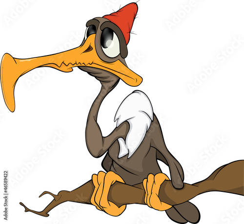 Vector: American condor an eagle.Cartoon American condor an eagle.Cartoon