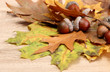 Brown Acorns On Autumn Leaves,...