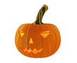 Illustration: Halloween Halloween